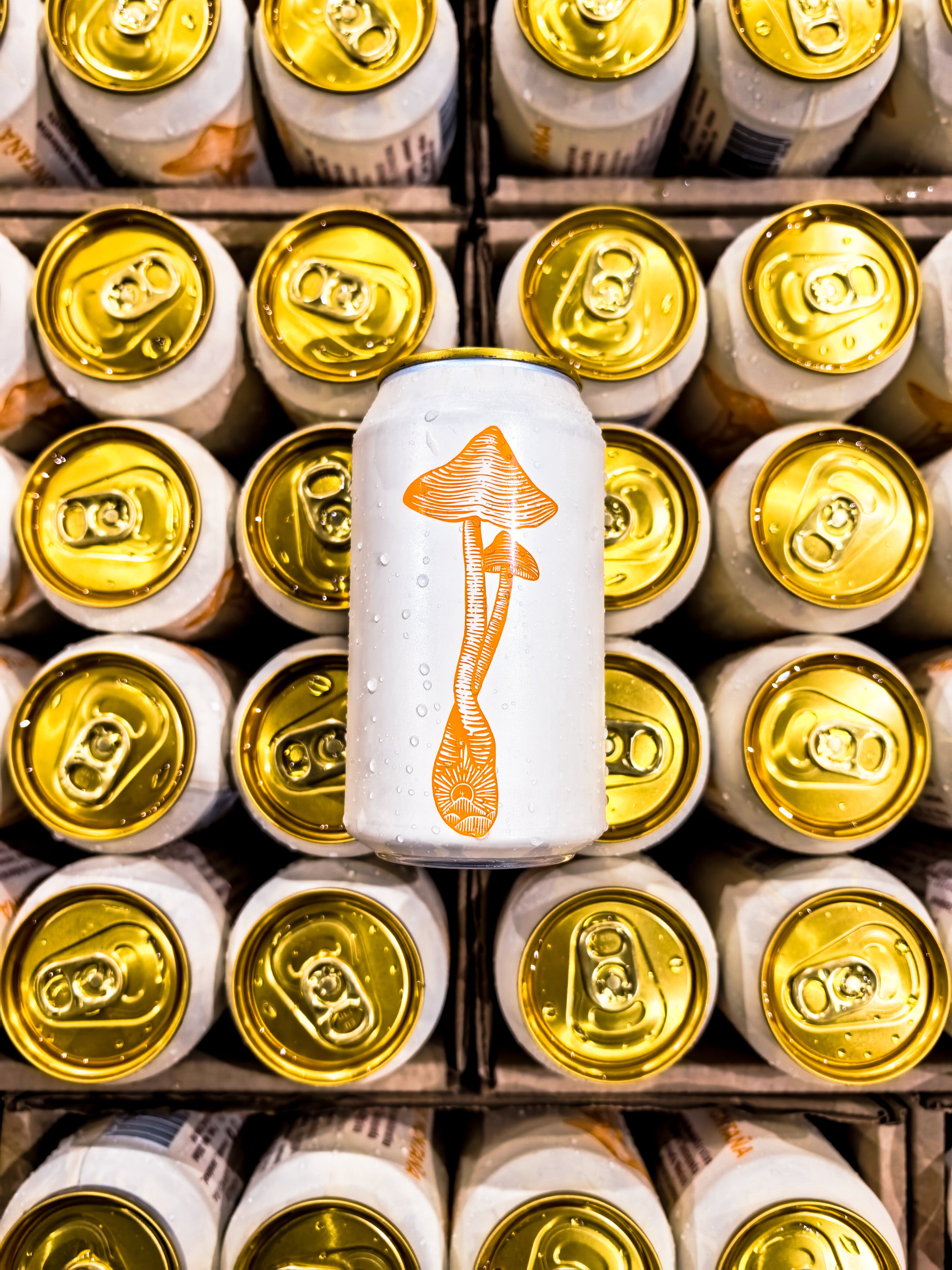 Cerveza